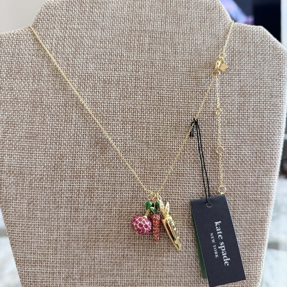 Kate Spade harvest time beets Earrings and necklace set - Picture 6 of 6